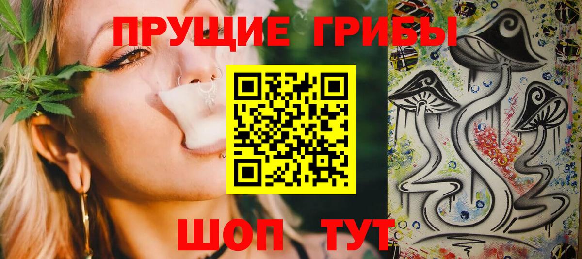 Северобайкальск  Галлюциногенные грибы Psilocybine cubensis  Вход с VPN  Псилоцибиновые грибы мицелий 